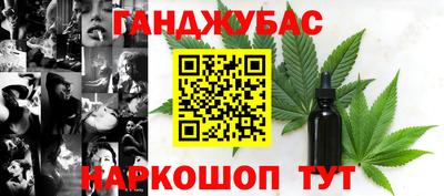 гашик Аргун