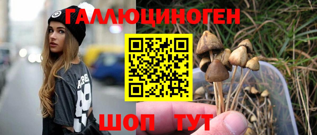 Выборг  Галлюциногенные грибы мухоморы  Вход с VPN 